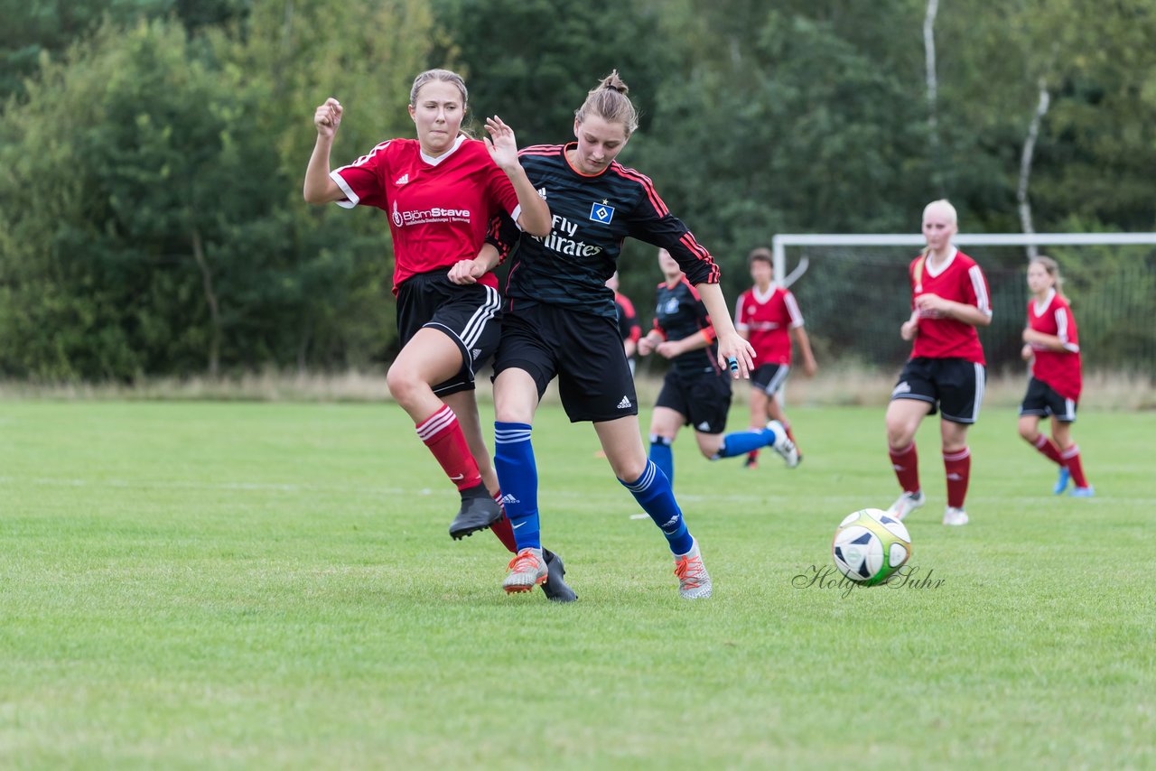 Bild 132 - Frauen SG NieBar - HSV 2 : Ergebnis: 4:3